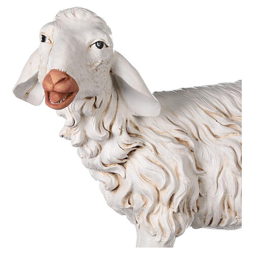 Standing sheep for nativities by Fontanini 125cm resin 2