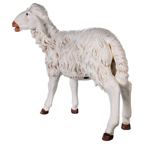 Standing sheep for nativities by Fontanini 125cm resin 7