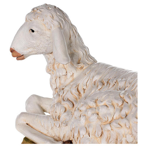 Sitting sheep for nativities by Fontanini 125cm resin 4