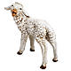 Lamb for nativities by Fontanini 125cm resin s4