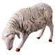 Standing sheep for nativities by Fontanini 65cm resin s2