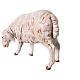 Standing sheep for nativities by Fontanini 65cm resin s4