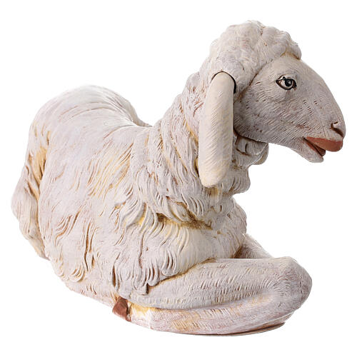 Sitting sheep for nativities by Fontanini 65cm resin 3