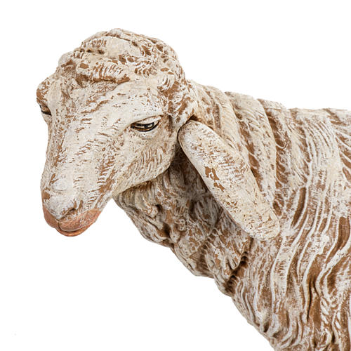 Schaf für Krippe Fontanini 52 cm 2
