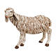 Schaf für Krippe Fontanini 52 cm s1