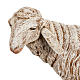 Schaf für Krippe Fontanini 52 cm s2