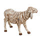 Schaf für Krippe Fontanini 52 cm s3
