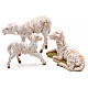 Família de ovelhas 3 peças para Presépio Fontanini com figuras de altura média 12 cm s2