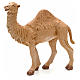 Camello en pie 19 cm Fontannini s1