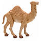 Camello en pie 19 cm Fontannini s2