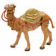 Camello de pie 12 cm Fontanini s1