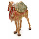 Camelo em pé para Presépio Fontanini com figuras de altura média 19 cm s4