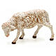 Owca pasąca się 30 cm Fontanini s1
