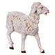 Mouton debout crèche Fontanini 30 cm s3