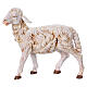 Owca stojąca 30 cm Fontanini s1