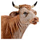 Vaca em pé 31,5x23 cm para Presépio Fontanini com figuras de altura média 30 cm s2