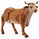 Vaca em pé 31,5x23 cm para Presépio Fontanini com figuras de altura média 30 cm s3