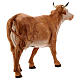Vaca em pé 31,5x23 cm para Presépio Fontanini com figuras de altura média 30 cm s6