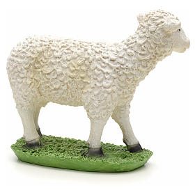 Schaf Krippe aus Harz 17x15 cm