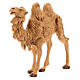 Vieux chameau debout crèche Fontanini 12 cm s2