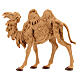 Camelo idoso em pé para presépio Fontanini com figuras de altura média 12 cm s1