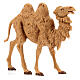 Camelo idoso em pé para presépio Fontanini com figuras de altura média 12 cm s3