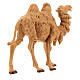 Camelo idoso em pé para presépio Fontanini com figuras de altura média 12 cm s4
