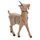 Koza stojąca 30 cm Fontanini s2