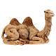 Camello sentado Fontanini 12 cm s1