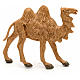 Camelo em pé para Presépio Fontanini com figuras de altura média 6,5 cm s3