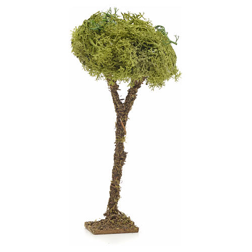 Nativity accessory, tree with lichen H16cm 1