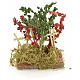 Plantes fleuries en miniature pour crèche h 6 cm s1