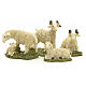 Pecore in resina presepe 10 cm set 4 pz s2