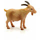 Nativity figurine, goat in resin 8-10 cm s1