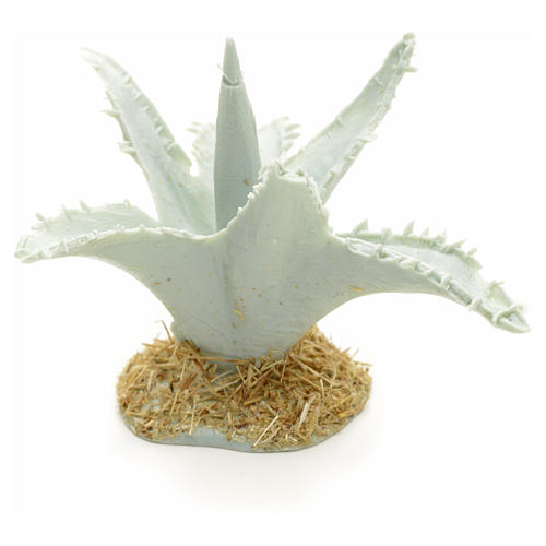 Nativity accessory, agave 1