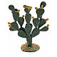 Kaktusfeige für Selber-Bauen-Krippen s1