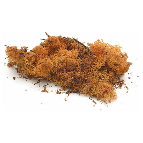 Lichen orange pour crèche 50 gr 1