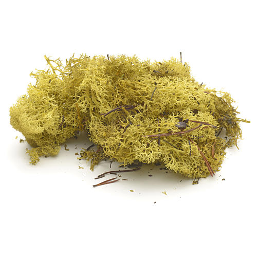Nativity Scene accessory: yellow lichen 50 gr 1