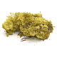 Nativity Scene accessory: yellow lichen 50 gr s1
