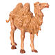 Camelo em pé para Presépio Fontanini com figuras de altura média 9,5 cm s3