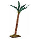Neapolitan Nativity scene accessory, palm tree 17 cm s1