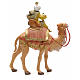 Figur mit Kamel, heiliger König Mulatte, 19 cm, Fontanini. s2