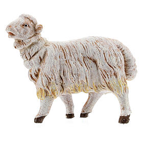 Owce zestaw 3 figurki 15 cm Fontanini