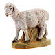 Schafe für 17cm Krippe Fontanini s2