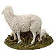 Moutons 16 cm gamme Martino Landi s4