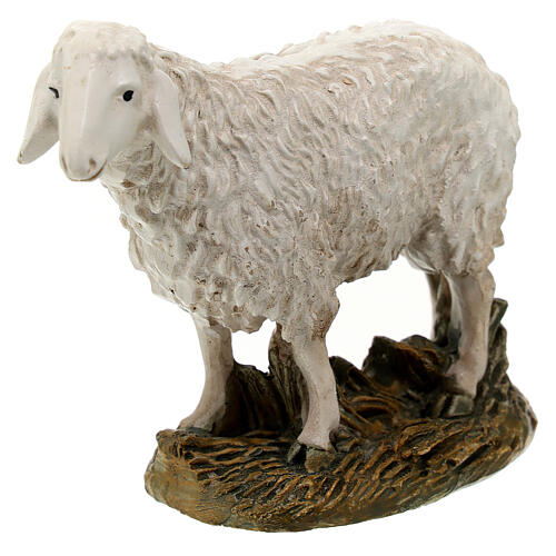 Schaf mit hohen Kopf Linie Martino Landi für 16cm Krippe 2