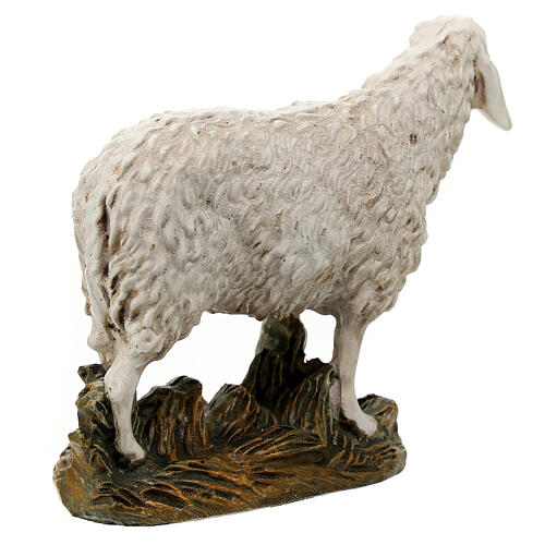 Schaf mit hohen Kopf Linie Martino Landi für 16cm Krippe 4