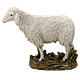 Schaf mit hohen Kopf Linie Martino Landi für 16cm Krippe s1