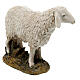 Schaf mit hohen Kopf Linie Martino Landi für 16cm Krippe s3