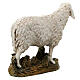 Schaf mit hohen Kopf Linie Martino Landi für 16cm Krippe s4